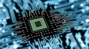 澳洲留學計算機方向選擇指南 IT、CS與軟件工程的差異詳解